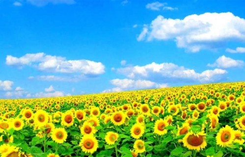 记住！好说话过头的话，会惯出别人的毛病！人不能太随和，太好说话！