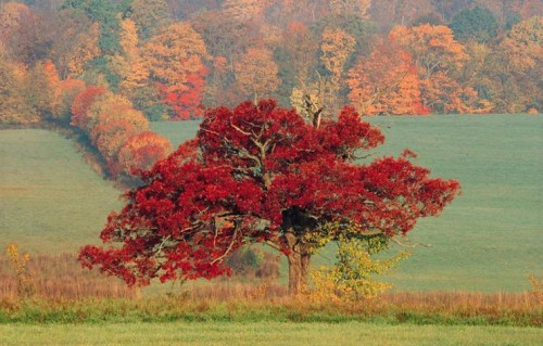 人生，得到未必是福，失去未必是祸