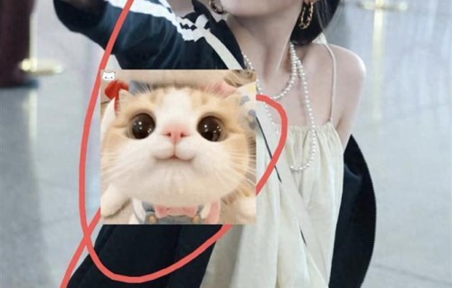 孔雪儿现身机场，穿黄色吊带短裙好白呀，还跟粉丝比心俏皮可爱！