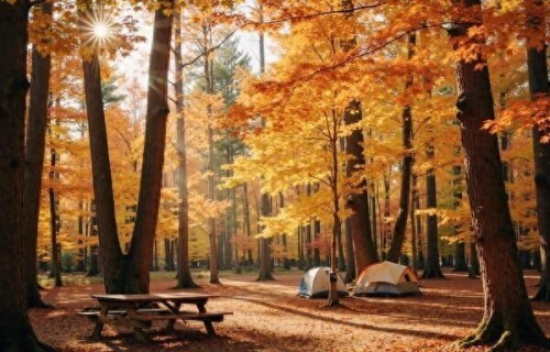 心宽一寸，病退一丈，后半生最好的活法，是学会转念