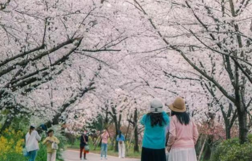 男人真正爱一个女人时，才会有的三个表现，非常明显
