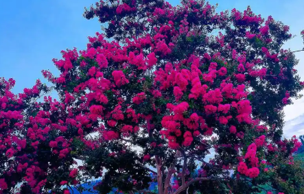 男女之间：女人最喜欢的5种肢体触摸，第3种一摸就心动