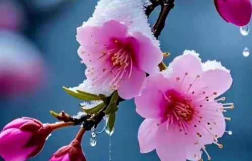 男女关系：老年夫妻，很少能做到以下这三条，做到的都很幸福