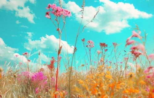 为什么劝你别轻易帮人，原因很现实，因为很多人都有白眼狼特质